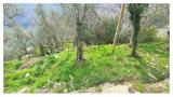 Casa, RAPALLO, 89.000 €, 150,00 mq