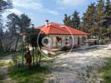 Casa, PESCARA, 312.000 €, 295,00 mq