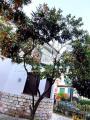 Casa, VIAREGGIO, 800.000 €, 233,00 mq
