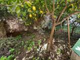 Appartamento, PALERMO, Noce, 45.000 €, 43,00 mq