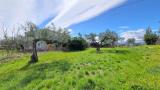 Casa, PIANELLA, 400.000 €, 372,00 mq