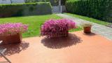 Casa, TREVISO, Selvana, 420.000 €, 202,00 mq