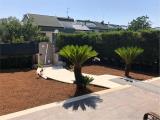 Casa, PALO DEL COLLE, 250.000 €, 260,00 mq