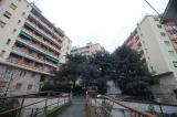 Appartamento, GENOVA, 109.000 €, 85,00 mq