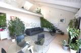 Appartamento, ALBIGNASEGO, 355.000 €, 155,00 mq