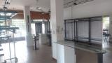 Superfici commerciali, CADONEGHE, 300.000 €, 170,00 mq