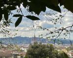 Casa, FIRENZE, 3.250.000 €, 400,00 mq