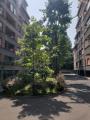 Appartamento, MILANO, Gorla, 215.000 €, 58,00 mq