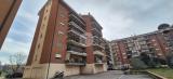Appartamento, FROSINONE, 182.000 €, 137,00 mq