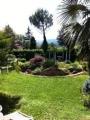 Casa, BORGO SAN LORENZO, 350.000 €, 200,00 mq