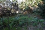 Appartamento, CASTELFIORENTINO, 105.000 €, 88,00 mq