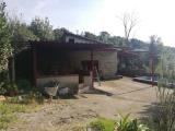 Casa, CAIAZZO, 38.000 €, 30,00 mq
