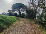 Casa, RECANATI, 50.000 €, 144,00 mq