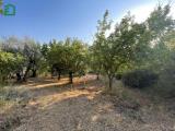 Casa, AMELIA, 25.000 €, 20,00 mq