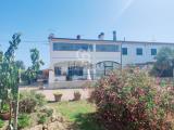 Casa, CAPALBIO, 380.000 €, 200,00 mq
