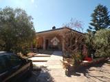 Casa, NETTUNO, 495.000 €, 292,00 mq