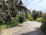 Casa, PAVIA, 385.000 €, 200,00 mq