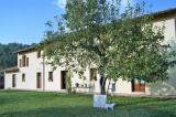 Casa, MONTECATINI-TERME, 1.150.000 €, 366,00 mq
