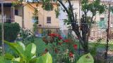 Casa, CAPANNORI, 195.000 €, 190,00 mq