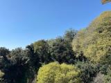 Appartamento, GENOVA, Pegli, 168.000 €, 120,00 mq