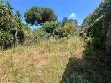 Casa, MASSA, Centro, 700.000 €, 330,00 mq