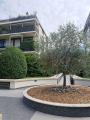Appartamento, MILANO, Precotto, 450.000 €, 100,00 mq
