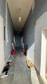 Appartamento, LIVORNO, 150.000 €, 133,00 mq