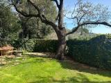 Appartamento, MAGLIANO IN TOSCANA, 245.000 €, 110,00 mq