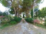 Appartamento, VERUCCHIO, 295.000 €, 157,00 mq