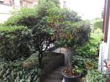 Casa, PANTIGLIATE, 690.000 €, 298,00 mq