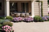 Appartamento, PIETRASANTA, 510.000 €, 80,00 mq