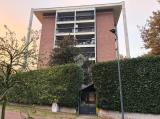 Appartamento, MILANO, Gallaratese, 250.000 €, 115,00 mq
