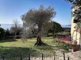 Casa, LAVAGNA, 690.000 €, 263,00 mq