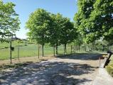 Casa, CONZANO, 350.000 €, 230,00 mq
