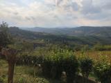 Casa, CESENA, 235.000 €, 158,00 mq