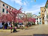 Superfici commerciali, TREVISO, 480.000 €, 70,00 mq