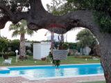 Casa, MONOPOLI, 470.000 €, 200,00 mq