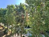 Appartamento, BOLOGNA, 259.000 €, 71,00 mq