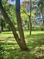 Appartamento, MILANO, Gallaratese, 490.000 €, 105,00 mq