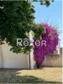 Casa, BATTIPAGLIA, 90.000 €, 80,00 mq