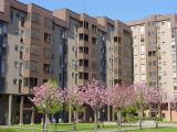 Appartamento, LOCATE DI TRIULZI, 276.000 €, 130,00 mq