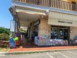 Superfici commerciali, LADISPOLI, 350.000 €, 110,00 mq