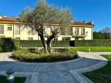 Appartamento, CERNUSCO SUL NAVIGLIO, 715.000 €, 115,00 mq