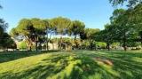 Appartamento, FIRENZE, Le Cure, 800.000 €, 180,00 mq