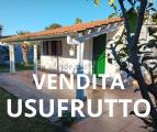 Appartamento, ARDEA, 50.000 €, 42,00 mq