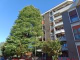 Appartamento, MONZA, 230.000 €, 105,00 mq