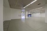 Superfici commerciali, SASSUOLO, 1.100.000 €, 1270,00 mq