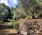 Casa, SORANO, 320.000 €, 120,00 mq