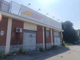 Superfici commerciali, TORINO, 780.000 €, 1170,00 mq