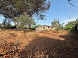 Casa, SABAUDIA, 55.000 €, 40,00 mq